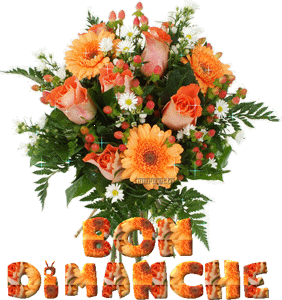 Gif animé Bon dimanche pin up